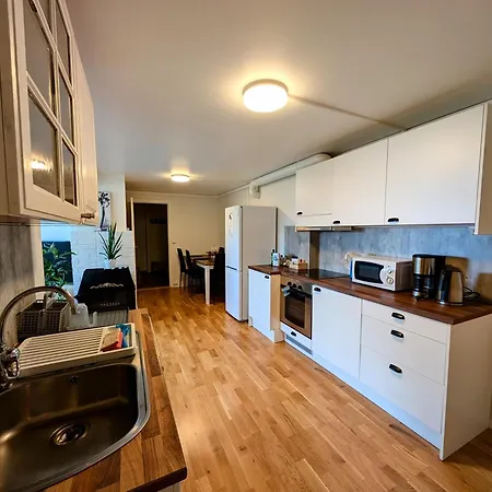 Aurora In Shared Nr1 We Are Doing Privet Northen Light Trip, Reindeer Trip And Sommaroy Fjord Trip 3*