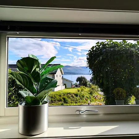 Aurora Rooms: Northern Lights & Adventure Tours 3* Tromso