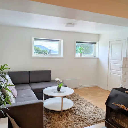 Aurora In Shared Nr1 We Are Doing Privet Northen Light Trip, Reindeer Trip And Sommaroy Fjord Trip 3*