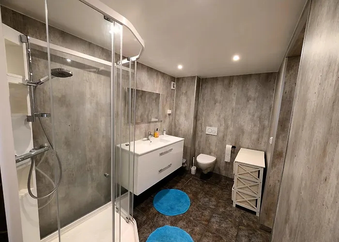 Aurora In Shared Nr1 We Are Doing Privet Northen Light Trip, Reindeer Trip And Sommaroy Fjord Trip