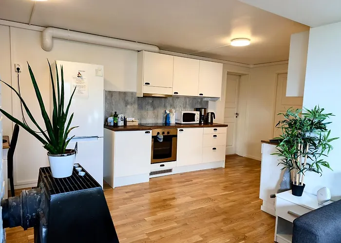 Aurora In Shared Nr1 We Are Doing Privet Northen Light Trip, Reindeer Trip And Sommaroy Fjord Trip