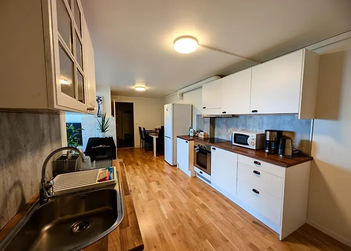 Aurora In Shared Nr1 We Are Doing Privet Northen Light Trip, Reindeer Trip And Sommaroy Fjord Trip 3*