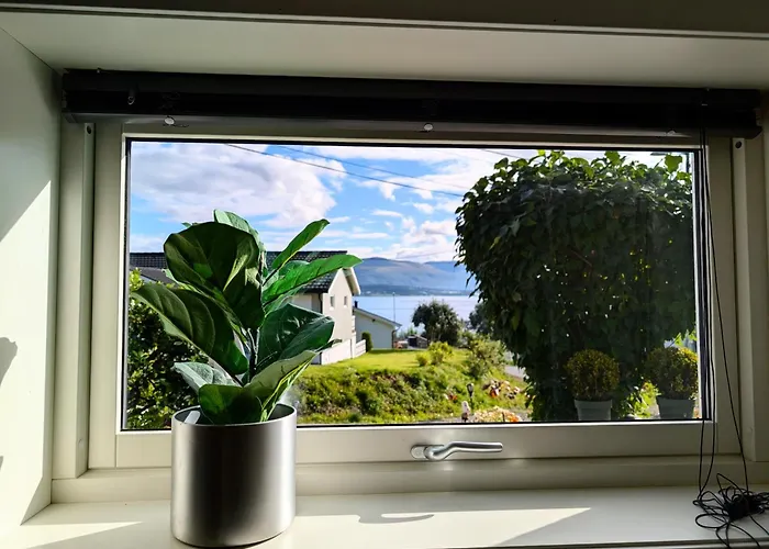 Aurora In Shared Nr1 We Are Doing Privet Northen Light Trip, Reindeer Trip And Sommaroy Fjord Trip 3* Tromsø