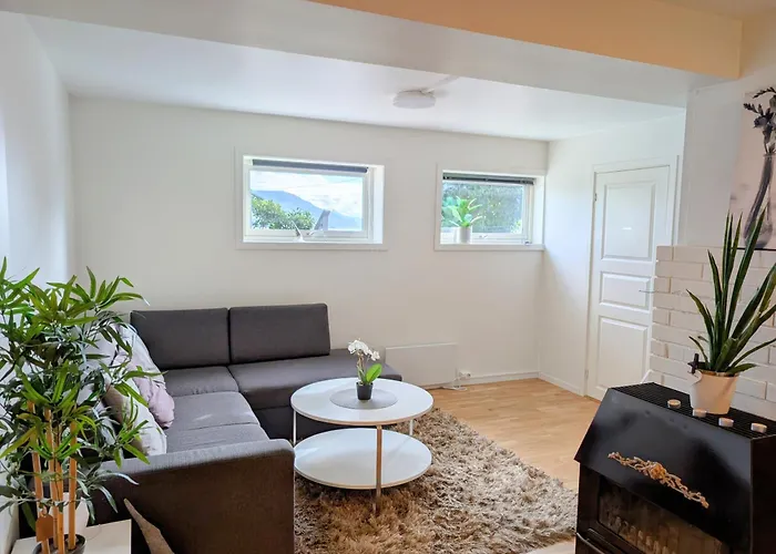 Aurora In Shared Nr1 We Are Doing Privet Northen Light Trip, Reindeer Trip And Sommaroy Fjord Trip 3*