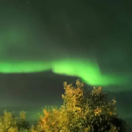 Aurora In Shared Nr1 We Are Doing Privet Northen Light Trip, Reindeer Trip And Sommaroy Fjord Trip Тромсё
