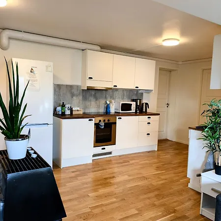 Aurora In Shared Nr1 We Are Doing Privet Northen Light Trip, Reindeer Trip And Sommaroy Fjord Trip